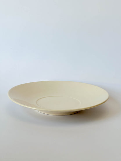 rimmed plate