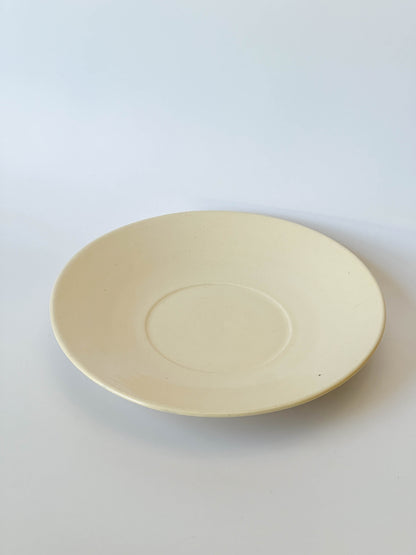 rimmed plate