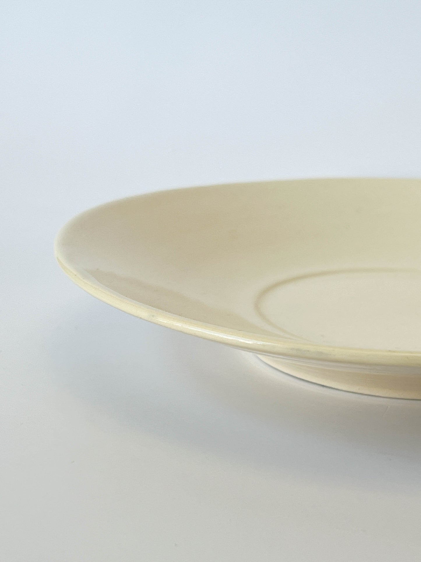 rimmed plate