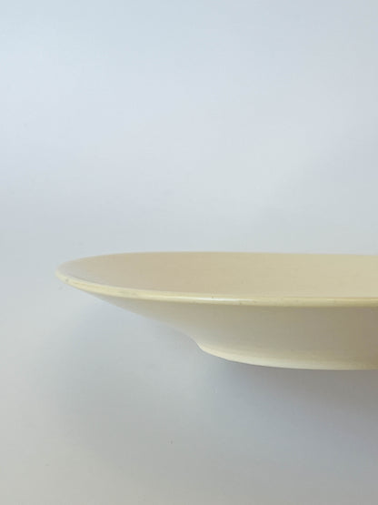 rimmed plate